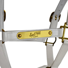 Load image into Gallery viewer, Syd Hill PVC Halter with Nameplate