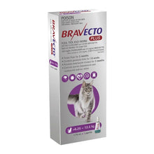 Load image into Gallery viewer, Bravecto Plus Cat - Large 6.25kg - 12.5kg