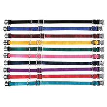 Load image into Gallery viewer, Prestige Adjustable Puppy Collar 23-36cm