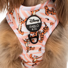 Load image into Gallery viewer, Pablo & Co The One Of A Kind Tigger Adjustable Harness