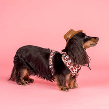 Load image into Gallery viewer, Pablo & Co Rodeo Adjustable Harness