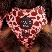 Load image into Gallery viewer, Pablo & Co Rodeo Adjustable Harness