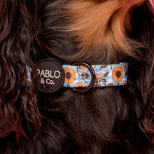 Load image into Gallery viewer, Pablo & Co Sunny Sunflowers Dog Collar