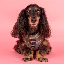 Load image into Gallery viewer, Pablo & Co Green Plaid Adjustable Harness