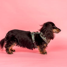 Load image into Gallery viewer, Pablo & Co Green Plaid Adjustable Harness