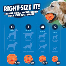 Load image into Gallery viewer, Chuckit Fetch Ball - 2 Pack