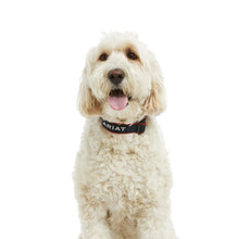 Load image into Gallery viewer, Ariat Team Dog Collar