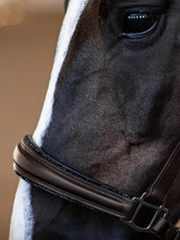 Load image into Gallery viewer, Equestrian Stockholm Glimmer Anatomic Leather Halter