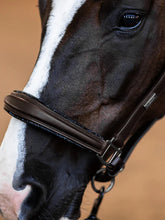 Load image into Gallery viewer, Equestrian Stockholm Glimmer Anatomic Leather Halter