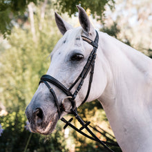 Load image into Gallery viewer, Grainge Dressage Snaffle Bridle with Crystal Curved Browband