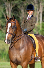 Load image into Gallery viewer, Bare Performance Tight - Competition Wear