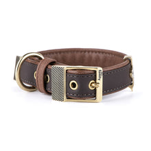 Load image into Gallery viewer, My Family Bilbao Faux Leather Collar