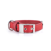 Load image into Gallery viewer, My Family Bilbao Faux Leather Collar