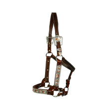Load image into Gallery viewer, Syd Hill Bowen Show Halter