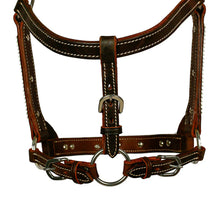 Load image into Gallery viewer, Syd Hill Bowen Show Halter