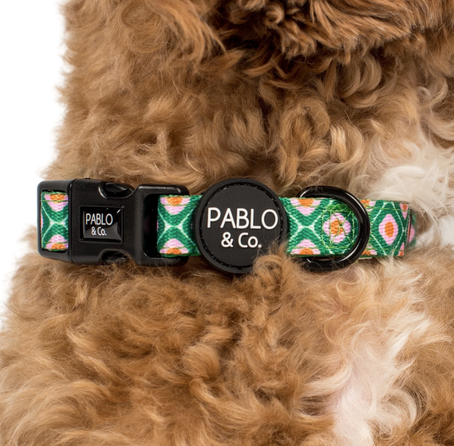 PABLO & CO 70 STYLE COLLAR Saddleworld NT