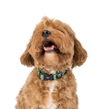 Load image into Gallery viewer, Pablo & Co 70 Style Collar