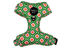 Load image into Gallery viewer, Pablo & Co 70 Style Adjustable Dog Harness
