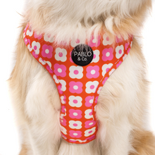 Load image into Gallery viewer, Pablo & Co Pink Checkered Daisies Adjustable Harness