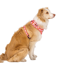 Load image into Gallery viewer, Pablo & Co Pink Checkered Daisies Adjustable Harness