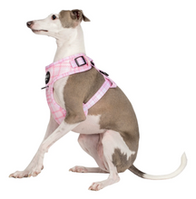 Load image into Gallery viewer, Pablo & Co Pink Houndstooth Adjustable Harness