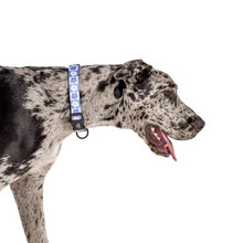 Load image into Gallery viewer, Pablo & Co Blue Checkered Daisies Collar