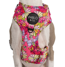 Load image into Gallery viewer, Pablo & Co In Bloom Adjustable Harness