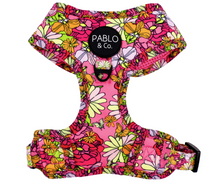 Load image into Gallery viewer, Pablo & Co In Bloom Adjustable Harness