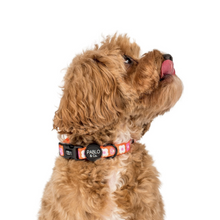 Load image into Gallery viewer, Pablo & Co Pink Checkered Daisies Collar