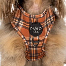 Load image into Gallery viewer, Pablo & Co Vintage Plaid Adjustable Harness
