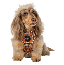 Load image into Gallery viewer, Pablo & Co Vintage Plaid Adjustable Harness