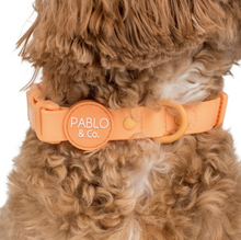 Load image into Gallery viewer, Pablo & Co Orange Sherbet Waterproof Collar