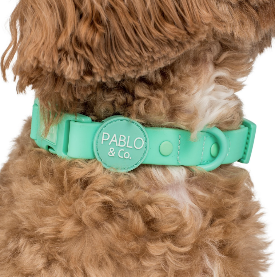 PABLO & CO PEPPERMINT WATERPROOF COLLAR Saddleworld NT