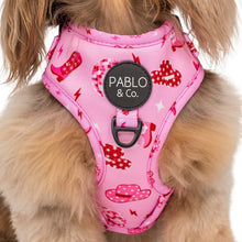 Load image into Gallery viewer, Pablo & Co Disco Cowgirl Collar