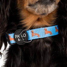 Load image into Gallery viewer, Pablo & Co Dachshund Collar
