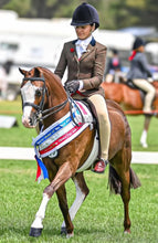 Load image into Gallery viewer, Bare Youth 2-Tone Competition Tights