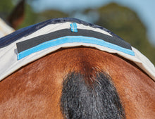 Load image into Gallery viewer, Weatherbeeta Cotton Summer Sheet Combo Rug With Wither Relief Pad