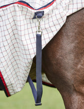 Load image into Gallery viewer, Weatherbeeta Summer Sheet Lite Hooded Combo