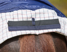 Load image into Gallery viewer, Weatherbeeta Summer Sheet Lite Hooded Combo