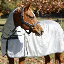 Load image into Gallery viewer, Zilco Econo-Air Combo