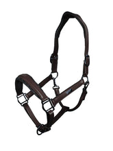 Load image into Gallery viewer, Equestrian Stockholm Glimmer Anatomic Leather Halter