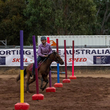 Load image into Gallery viewer, Ferrari Pole - Bending Poles