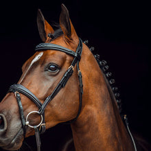 Load image into Gallery viewer, Horze Sion Bridle