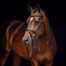 Load image into Gallery viewer, Horze Sion Bridle