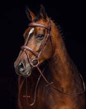 Load image into Gallery viewer, Horze Sion Bridle