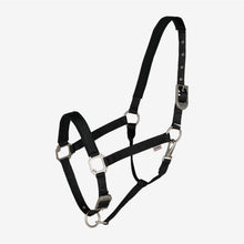 Load image into Gallery viewer, B Vertigo Hardwick Halter