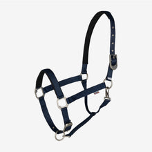 Load image into Gallery viewer, B Vertigo Hardwick Halter