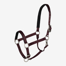 Load image into Gallery viewer, B Vertigo Hardwick Halter