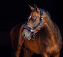 Load image into Gallery viewer, Horze Miami Fleece Halter