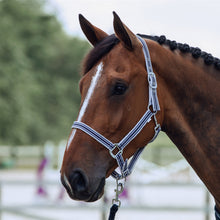 Load image into Gallery viewer, Horze Glarus Halter & Lead Set